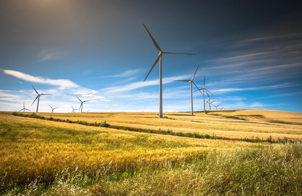Wind turbines for renewable energy generation