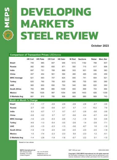 Developing Markets Steel Review image